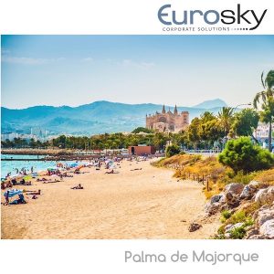 Voler en jet privé à Palma de Majorque